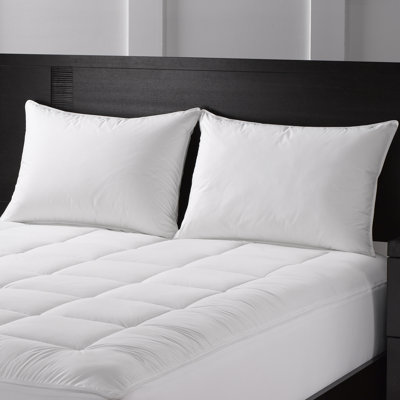 Down and Feathers Pillow Sharper Image Sharper Image Memory Foam Nuzzle Pillow